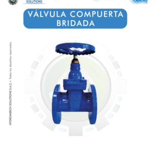 Válvula compuerta bridada