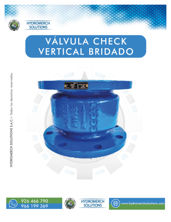 Válvula check vertical bridado