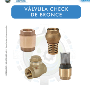 Válvula check de bronce